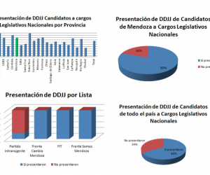 Elecciones 2017: el 80% de los candidatos mendocinos presentaron sus DDJJ