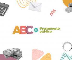 Presentamos junto a organizaciones de todo el país el ABC del Presupuesto en las Provincias Argentinas